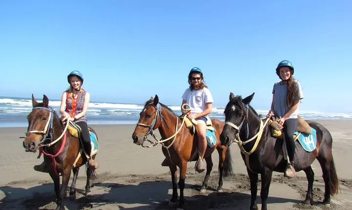 Viña del Mar and Valparaiso Private Tour Including Horseriding
