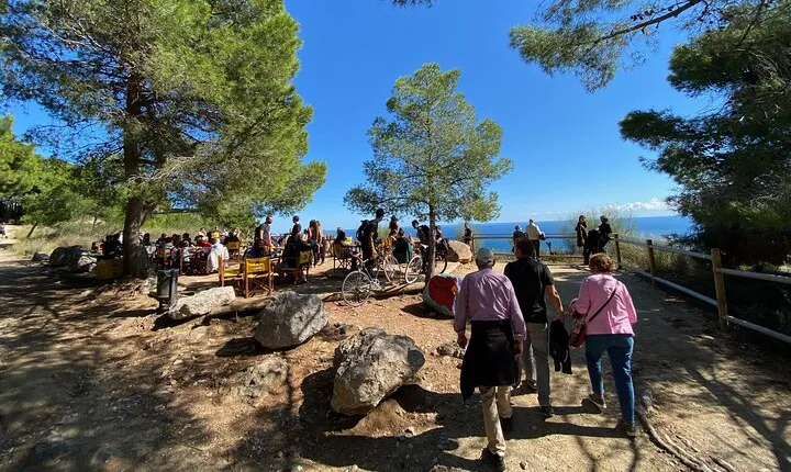 Barcelona Panoramic Walking Tour - Discover Montjuic