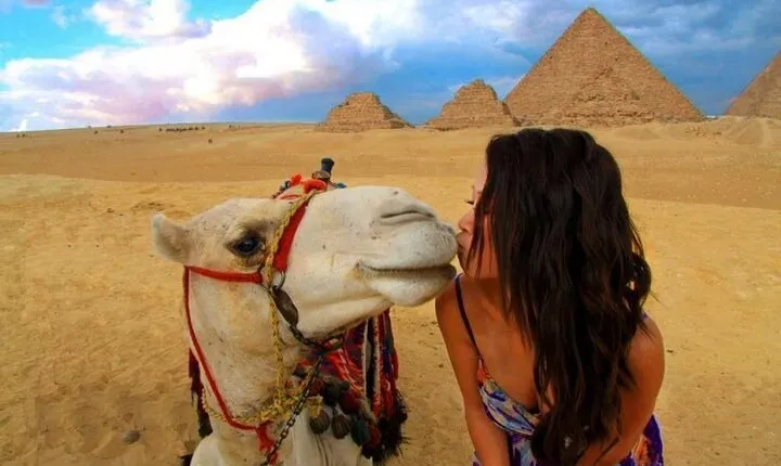 Private Pyramids, Sakkara and Dahshur Tour from Cairo