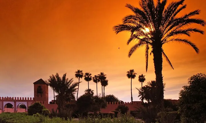 Sunset Camel Ride Marrakech Palmeraie