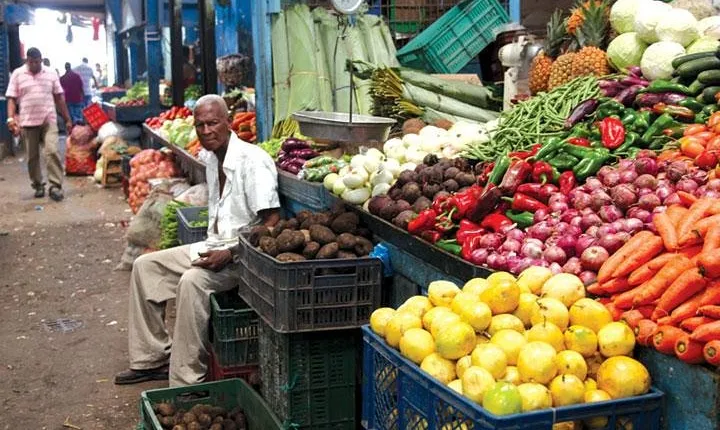 Bazurto Market Adventure Tour in Cartagena