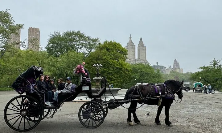 NYC Empire State Horses Carriage Ride in Central Park(55 Min)