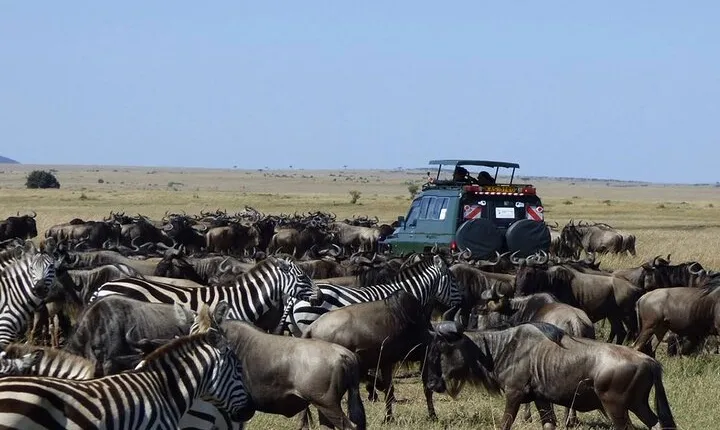 7 Days Mid Range Lodge Tanzania Safari