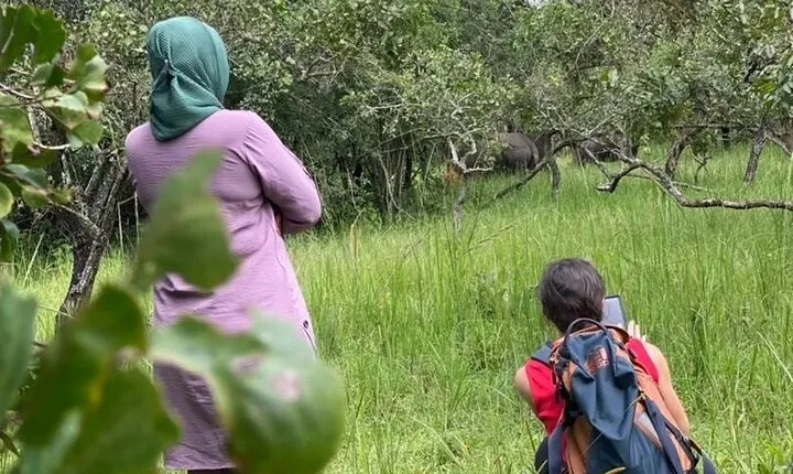 Rhino Tracking Adventure at Ziwa Rhino Sanctuary & Wildlife Ranch