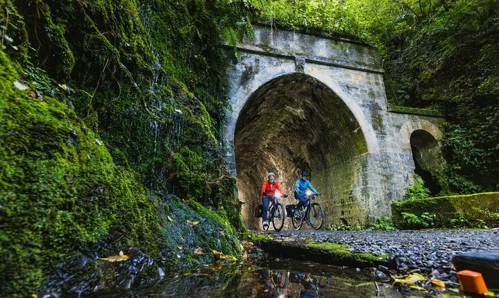 Remutaka Rail Trail Explorer - eBike Cruise Ship Shore Excursion