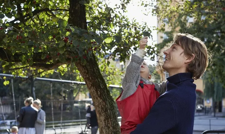 Sustainable Stockholm Tour