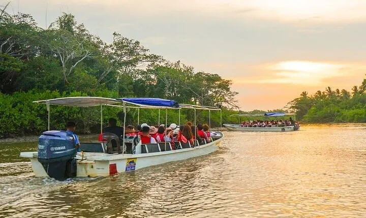 Klias River Safari from Kota Kinabalu