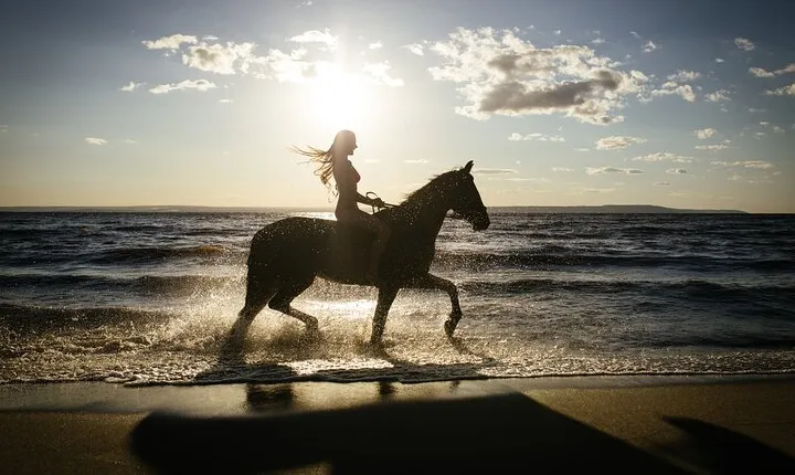 Horse and Camel Riding Adventure from Hurghada