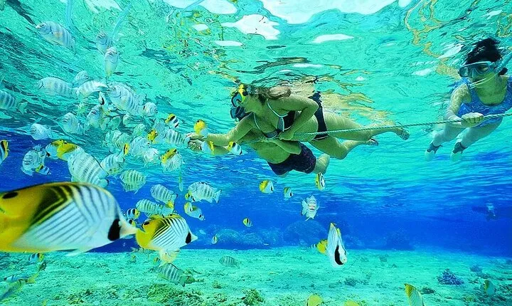 Snorkeling Tour to Marsa Mubarak with Optional Diving -Marsa Alam
