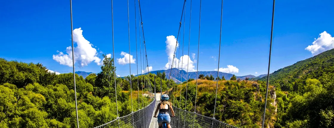Valley of the Vines E-bike tour with transfer from Queenstown