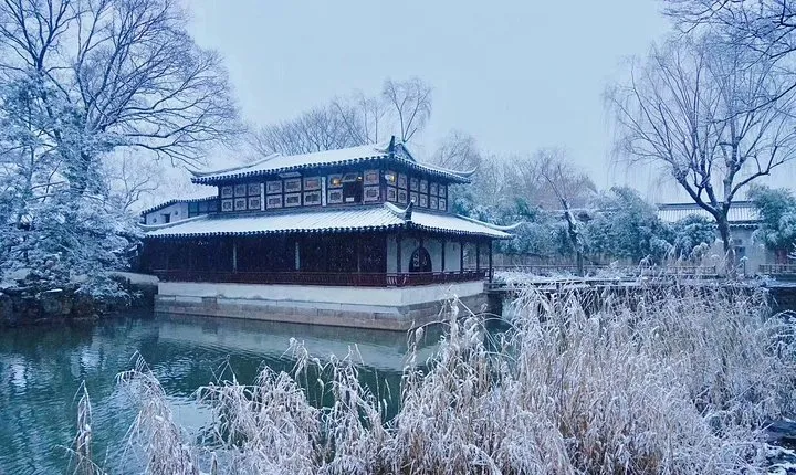 Private Tour of Suzhou Museum, Humble Administrator's Garden and Pingjiang Road