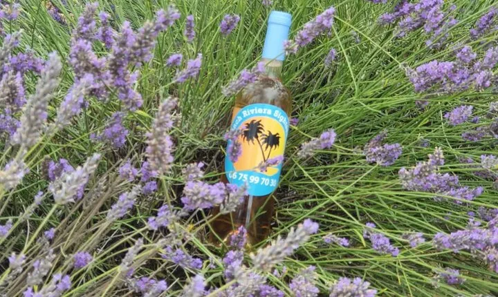 Full Day Private Tour in Lavender and Provence with Pickup