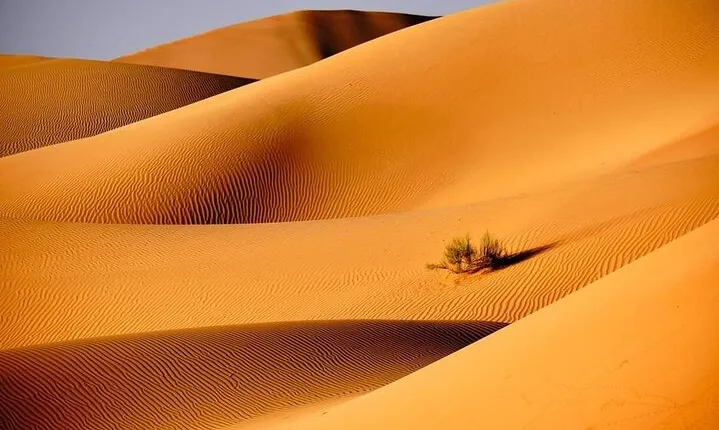 2-Day Private Wahiba Sands Desert Camping Tour from Muscat