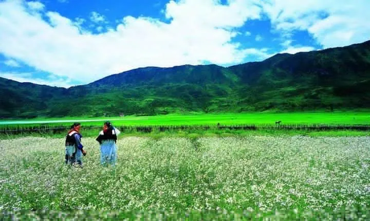 Private trekking tour to Wenhai lake from Lijiang half day service