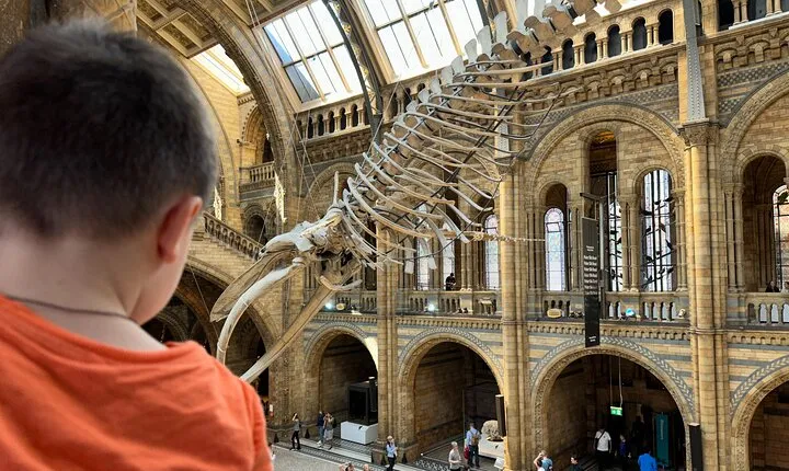 Kid-Friendly Natural History Museum & Dinosaurs Private Guided Tour in London