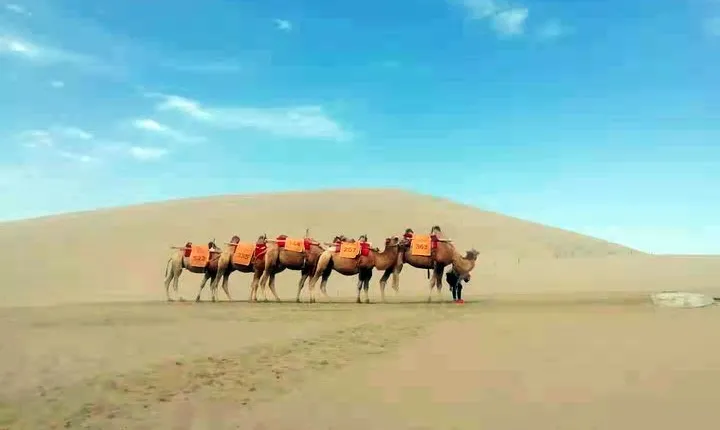Silk Road 14-Day Muslim Tour from Beijing to Xinjiang, Dunhuang, Xian & Shanghai