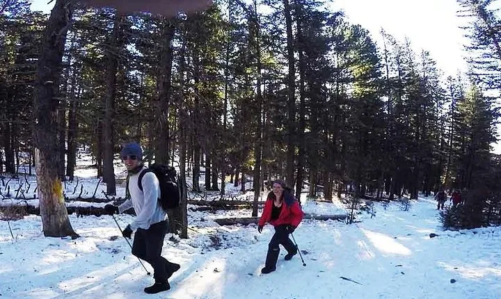 Private - Bogd Khan National Park Hiking Day Trip