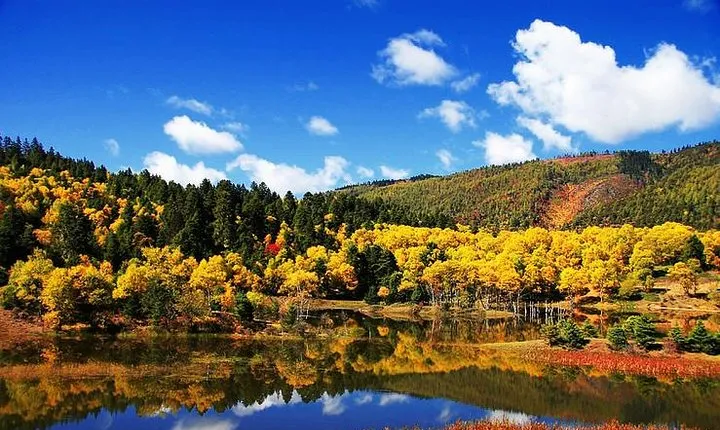 1 Day Shangri-la City Tour with Pudacuo National Park