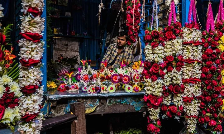 Kolkata Half Day Sightseeing Tour