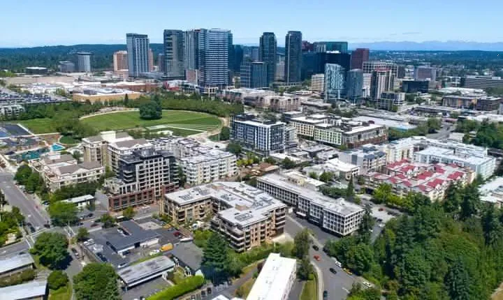 Self-Guided Scavenger Hunt: Beautiful Views of Bellevue
