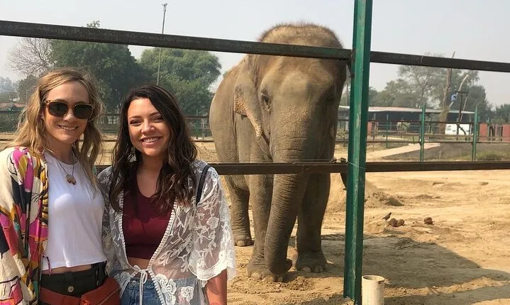 Taj Mahal, Agra Fort & Elephant Rescue Sanctuary Private Day Trip