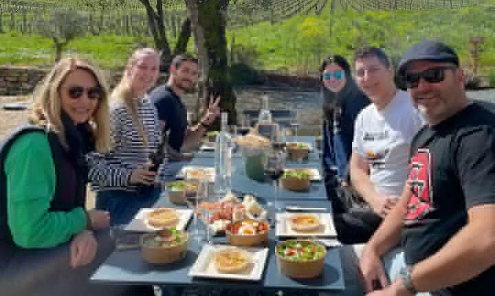 Bordeaux Full Day Wine Tour - 3 Wineries & Gourmet Picnic Lunch