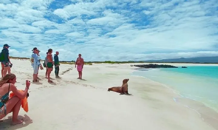 Ecuadorian Adventure Quito - Galápagos Islands 8 Days 7 Nights