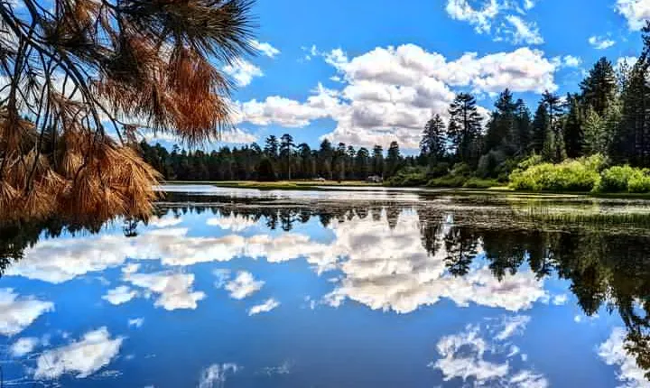 Big Bear Jeep off-road tour with Hike to Bluff Lake Reserve