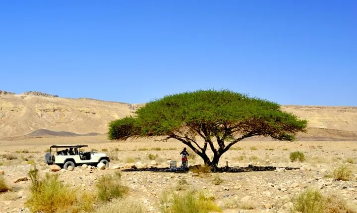 Desert Safari and Dead Sea Day Trip from Tel Aviv