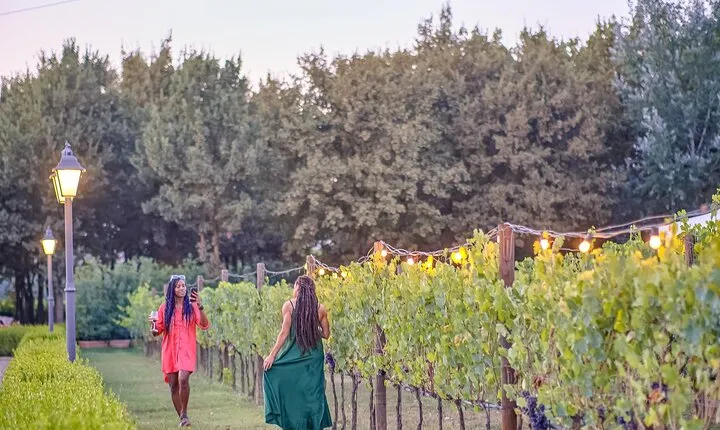 Exclusive Winery Tour with Tasting and Dinner in Chianti vineyard