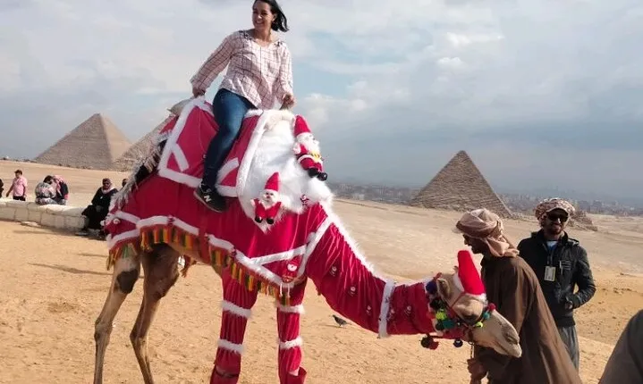 Half day Giza pyramids and Sphinx tour with an Egyptologist