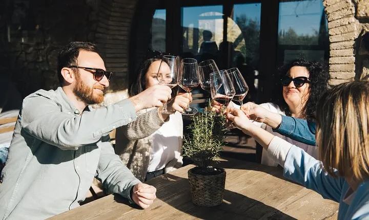 Private Wine Tasting Tour from Florence to Chianti Hills