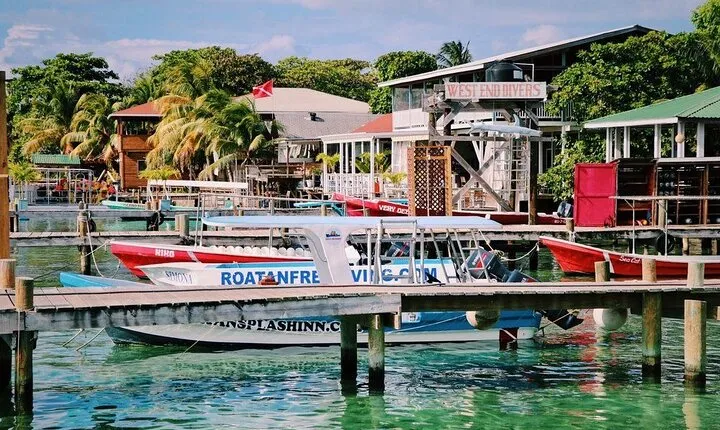 West End Tour (Choco Factory + Rum Company + Art Gallery + Rusty Fish and more)