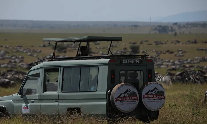 8 Days Explore Serengeti Great Wildebeest Migration Tour