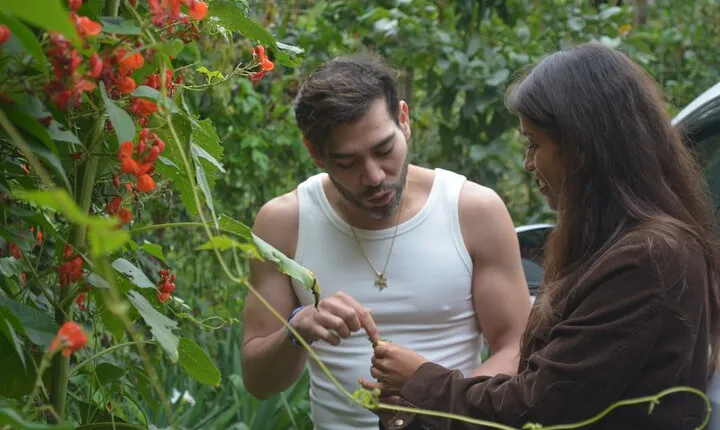 Urban Orchard in Desierto de los Leones in Mexico City