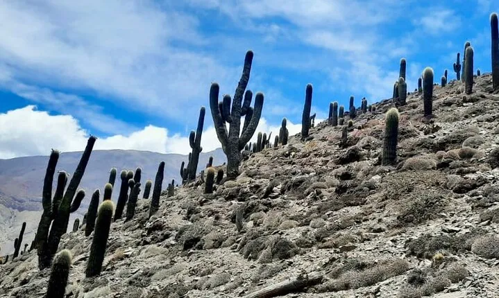 Day long Hike to Inca ruins