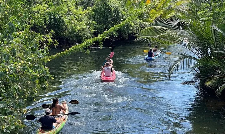 Sunset Scenic Kayaking and Swimming Activity