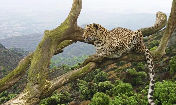 Day Tour in Arusha National Park