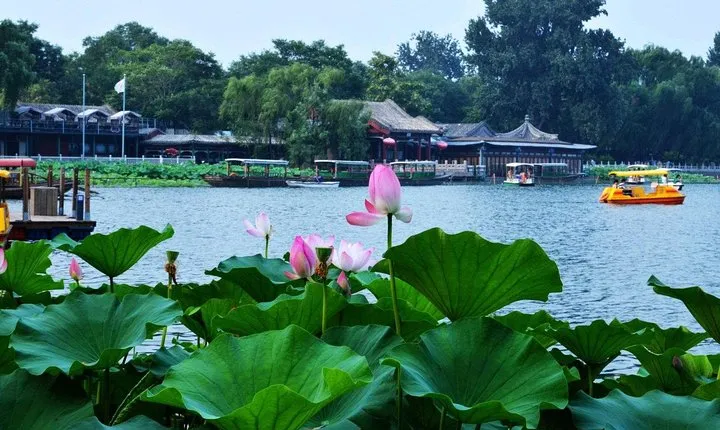 3-Hour Private Hutong Walking Tour with Drum Show at Drum Tower and Tea Tasting