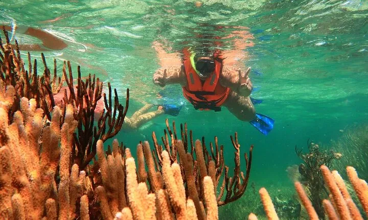ATV Adventure Combo with Snorkeling, Ziplines, Cenote, and Lunch