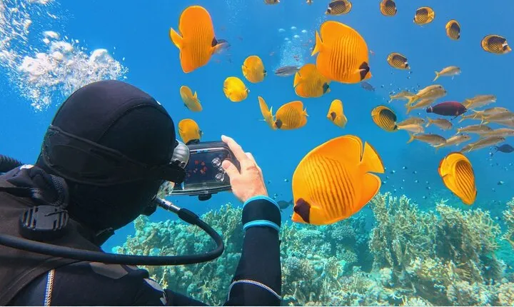 Sharm El-Sheikh: Ras Muhammed & White Island By Boat & intro Dive
