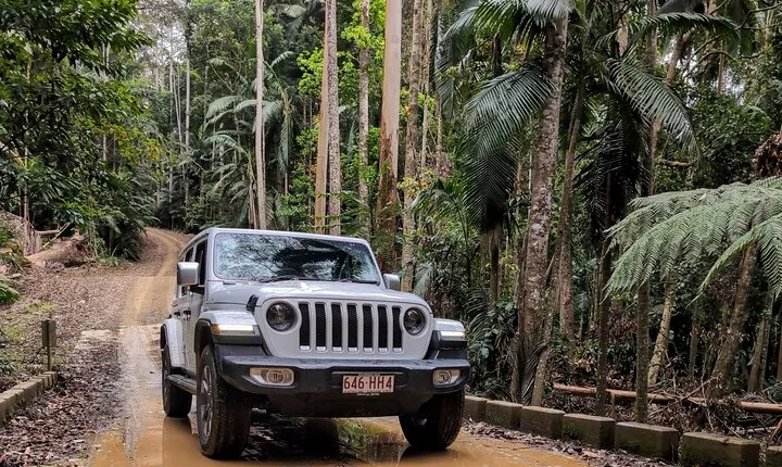 Booloumba Falls & Booloumba Creek Adventure, Conondale Nat. Park