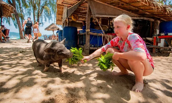 Koh Madsum and Koh Tan Snorkeling Trip By Speedboat From Koh Samui
