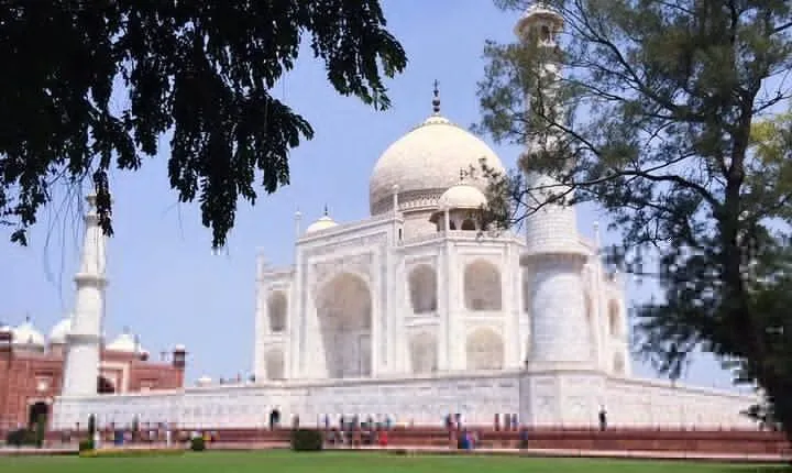 Sunrise Taj Mahal Tour by Car from Delhi W/ Elephant Conservation