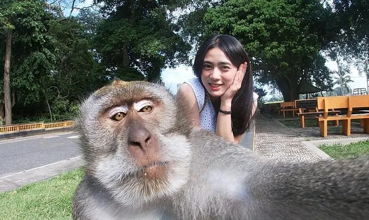 Bali Most Instagram Photos Spot Trip