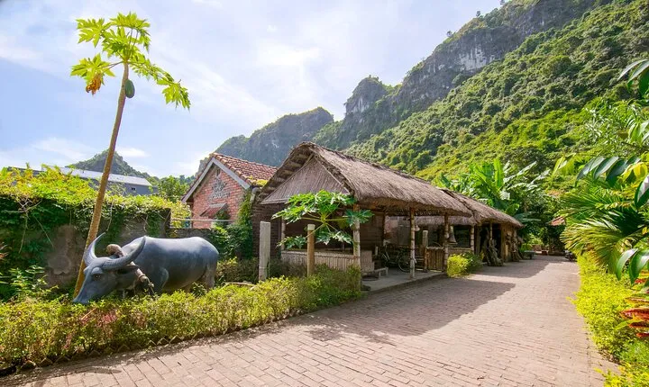 Hanoi- Cat Ba 2-Day Explore Viet Hai Ancient Village, Lan Ha Bay