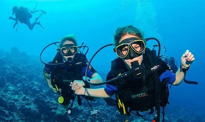 Discover Diving For Beginner Sea Trip & Lunch - Sharm El Sheikh