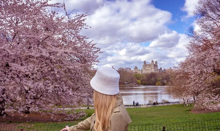 Best of Central Park Bike Tour