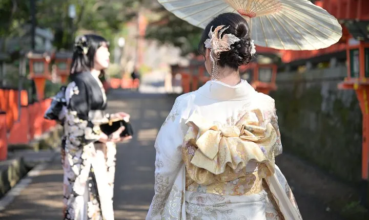 Luxury Classic Kyoto Day Tour - Private Customized Car Tour