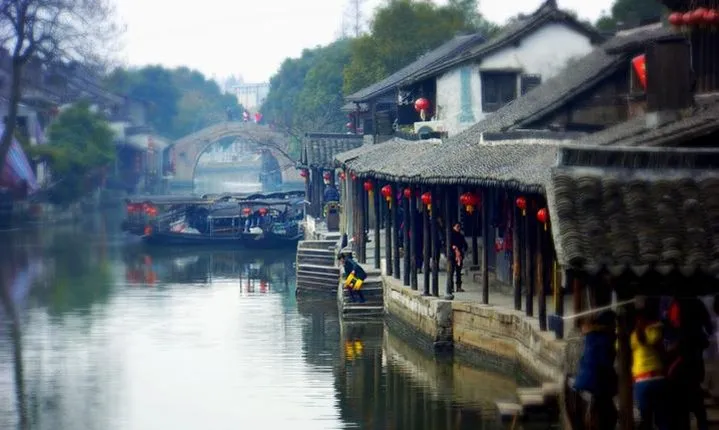 Private Wuzhen and Xitang Amazing Day Tour from Shanghai 